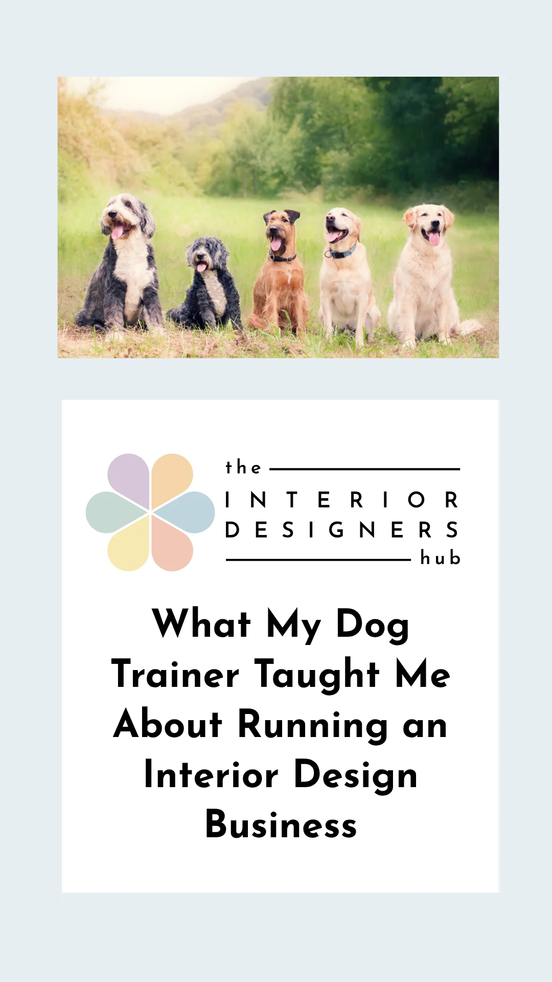 What my Dog Trainer Taught Me About Running an Interior Design Business