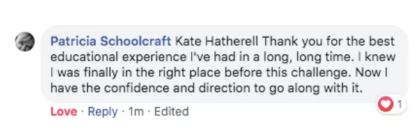 5 Day Challeneg The Interior Designers Hub Accredited Course (7)